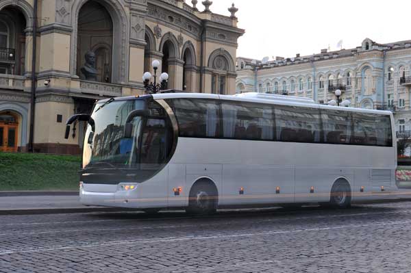 Coach