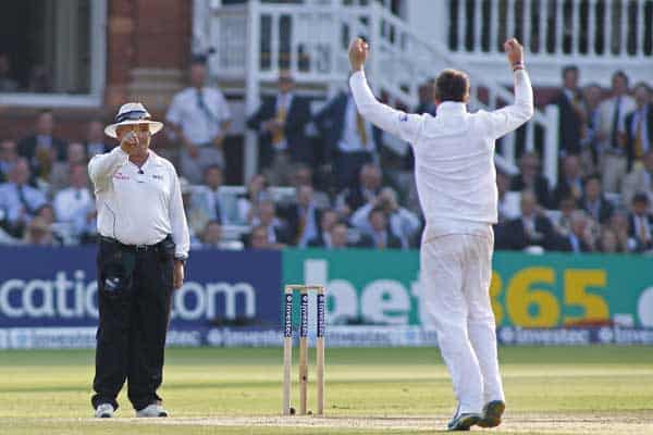 Cricket